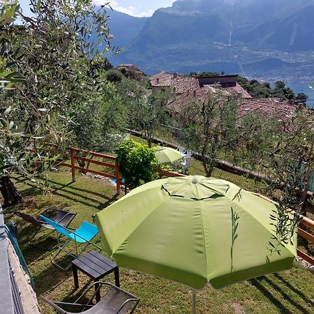 Ulivi Sul Garda Garden By Gardadomusmea Daire Tremosine Dış mekan fotoğraf