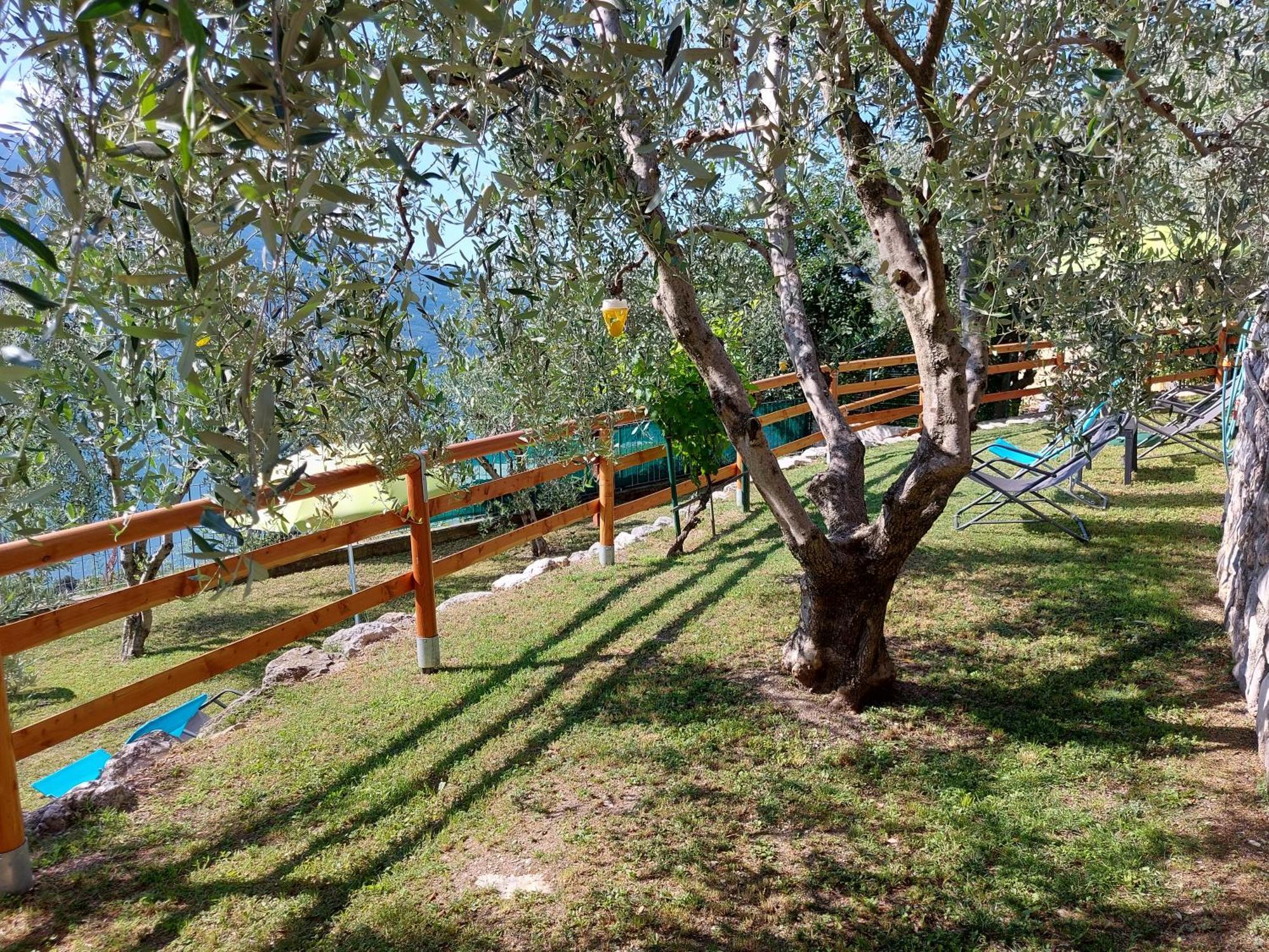 Ulivi Sul Garda Garden By Gardadomusmea Daire Tremosine Dış mekan fotoğraf