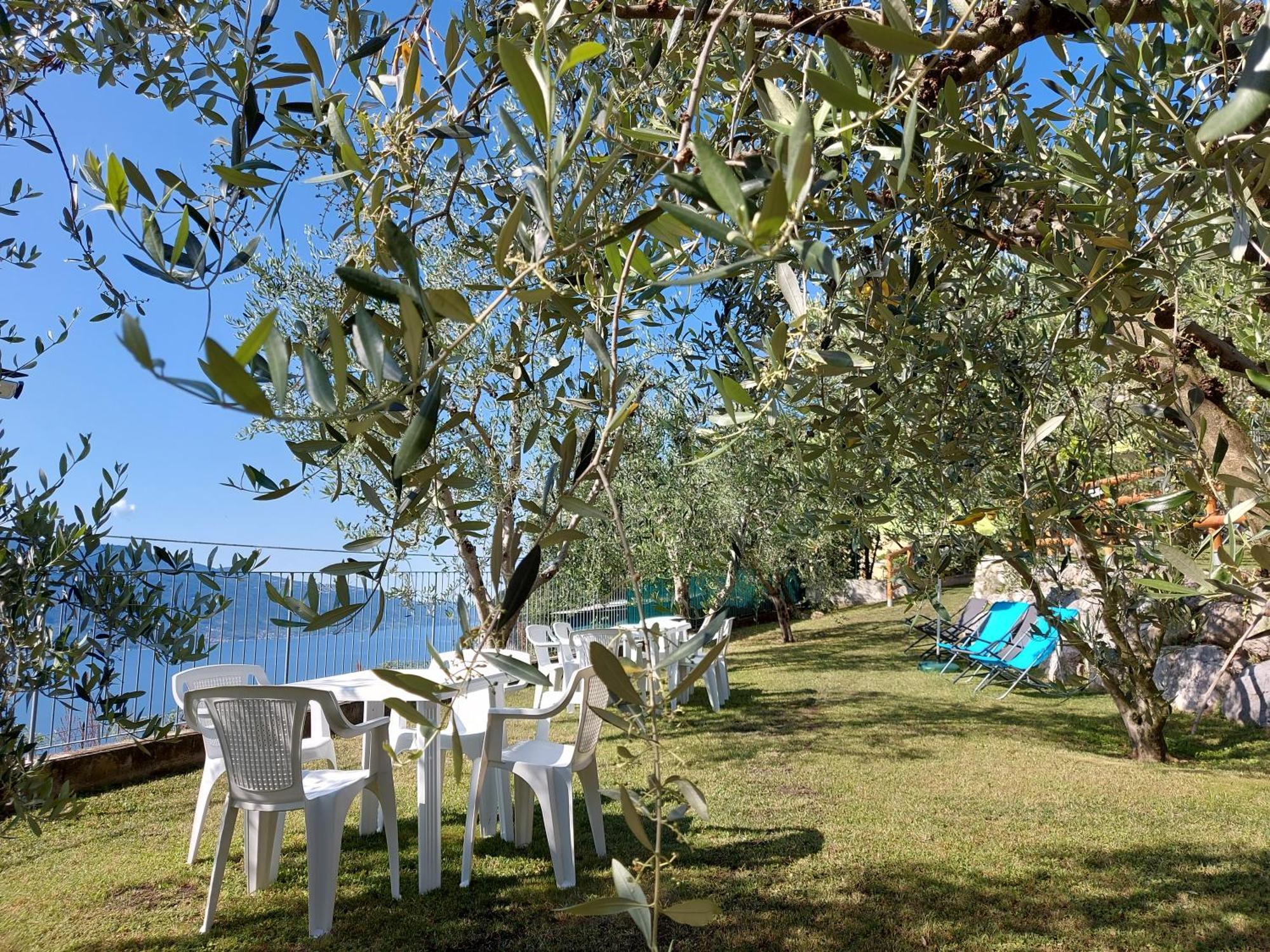 Ulivi Sul Garda Garden By Gardadomusmea Daire Tremosine Dış mekan fotoğraf