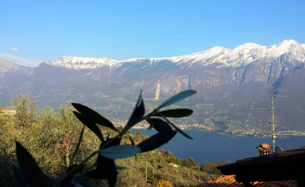 Ulivi Sul Garda Garden By Gardadomusmea Daire Tremosine Dış mekan fotoğraf