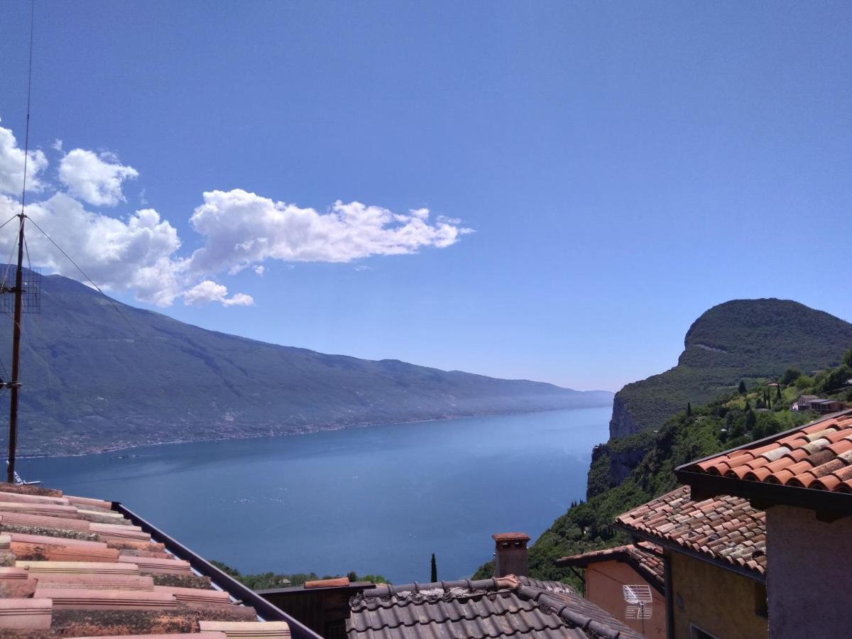 Ulivi Sul Garda Garden By Gardadomusmea Daire Tremosine Dış mekan fotoğraf
